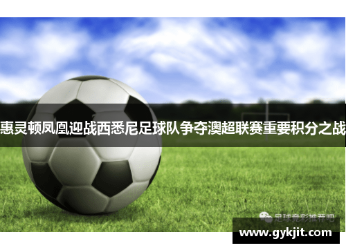 惠灵顿凤凰迎战西悉尼足球队争夺澳超联赛重要积分之战
